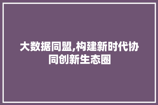 大数据同盟,构建新时代协同创新生态圈