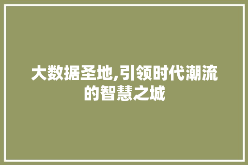 大数据圣地,引领时代潮流的智慧之城 百度SEO