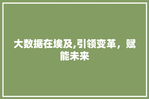 大数据在埃及,引领变革，赋能未来 神马SEO
