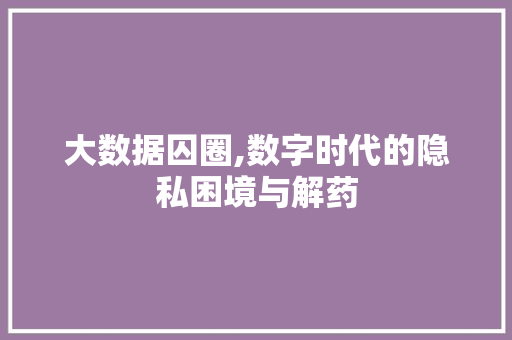 大数据囚圈,数字时代的隐私困境与解药