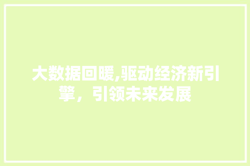 大数据回暖,驱动经济新引擎，引领未来发展