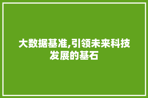 大数据基准,引领未来科技发展的基石