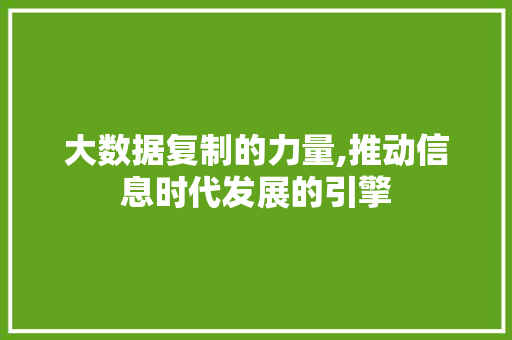 大数据复制的力量,推动信息时代发展的引擎 神马SEO