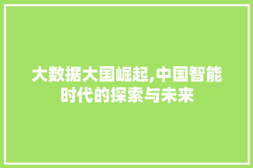 大数据大国崛起,中国智能时代的探索与未来