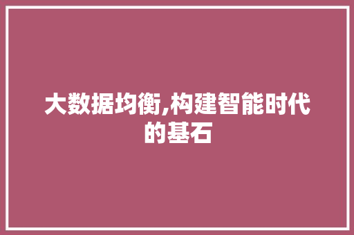 大数据均衡,构建智能时代的基石 神马SEO