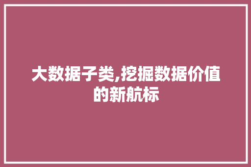 大数据子类,挖掘数据价值的新航标 百度SEO