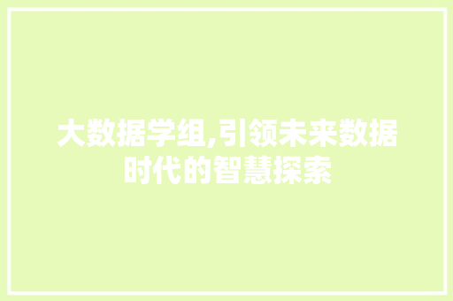 大数据学组,引领未来数据时代的智慧探索 百度SEO