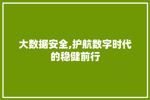 大数据安全,护航数字时代的稳健前行 网站建设公司