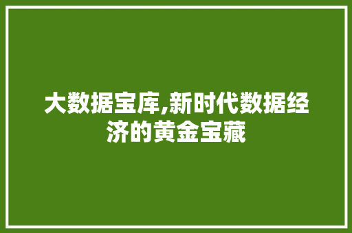 大数据宝库,新时代数据经济的黄金宝藏