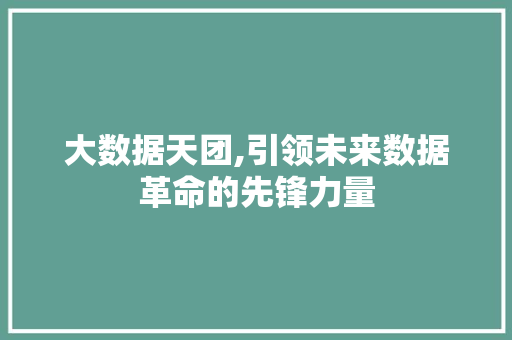 大数据天团,引领未来数据革命的先锋力量