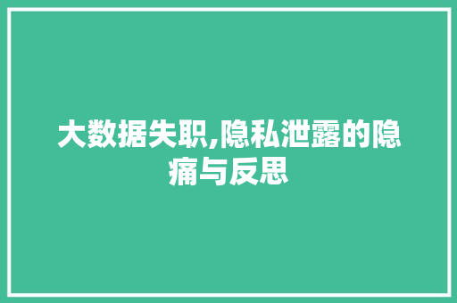 大数据失职,隐私泄露的隐痛与反思