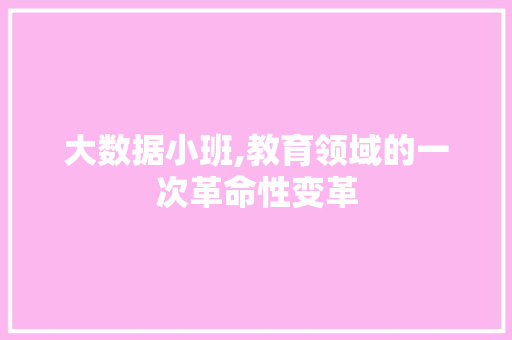 大数据小班,教育领域的一次革命性变革