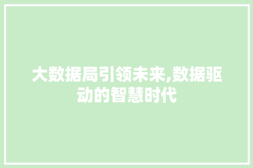 大数据局引领未来,数据驱动的智慧时代