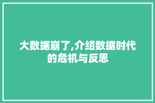 大数据崩了,介绍数据时代的危机与反思 SEO关键词