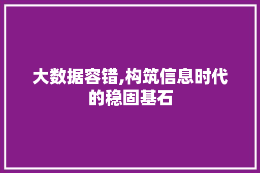 大数据容错,构筑信息时代的稳固基石