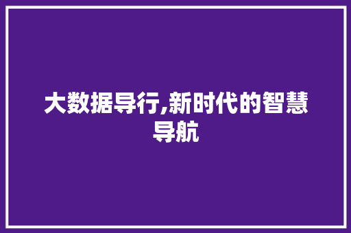 大数据导行,新时代的智慧导航 必应SEO