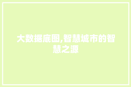 大数据底图,智慧城市的智慧之源 神马SEO