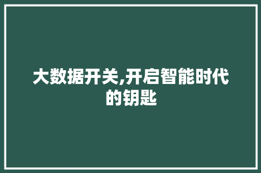 大数据开关,开启智能时代的钥匙 百度SEO