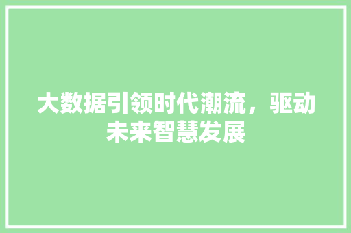 大数据引领时代潮流，驱动未来智慧发展