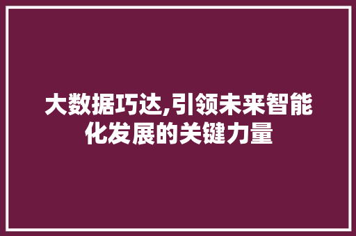 大数据巧达,引领未来智能化发展的关键力量 神马SEO