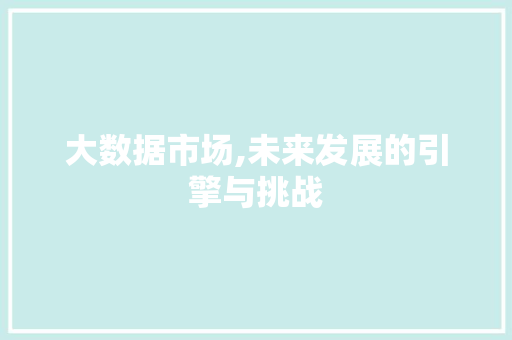 大数据市场,未来发展的引擎与挑战 百度SEO