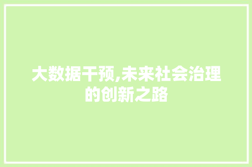 大数据干预,未来社会治理的创新之路 必应SEO