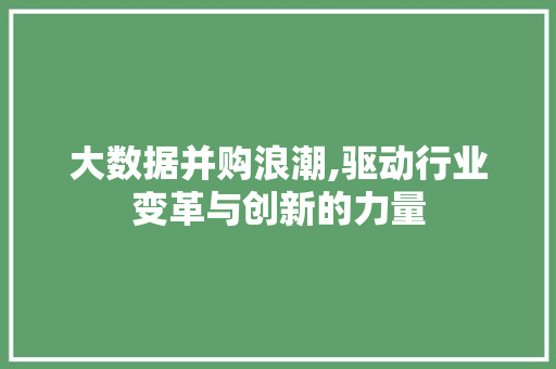 大数据并购浪潮,驱动行业变革与创新的力量 网站建设公司