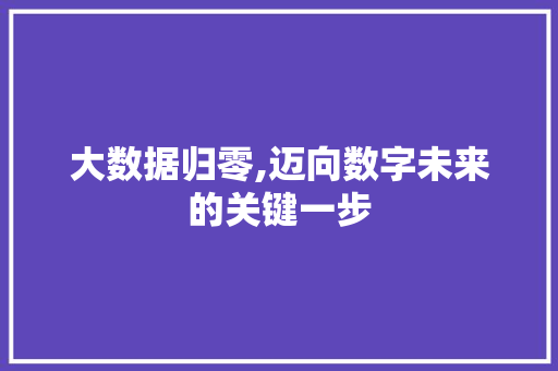 大数据归零,迈向数字未来的关键一步