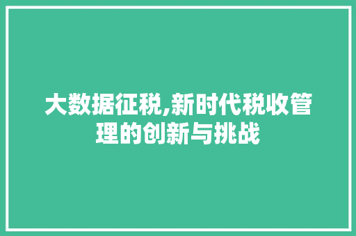 大数据征税,新时代税收管理的创新与挑战