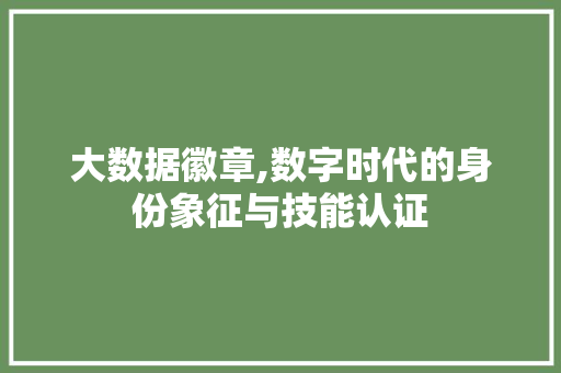 大数据徽章,数字时代的身份象征与技能认证
