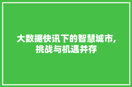 大数据快讯下的智慧城市,挑战与机遇并存