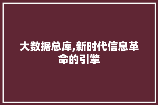 大数据总库,新时代信息革命的引擎