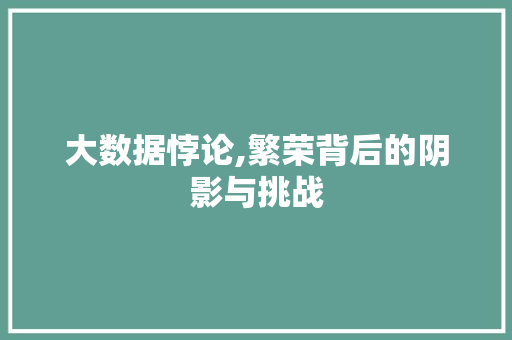 大数据悖论,繁荣背后的阴影与挑战