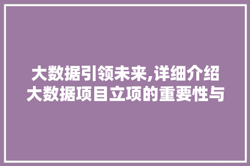 大数据引领未来,详细介绍大数据项目立项的重要性与实施步骤