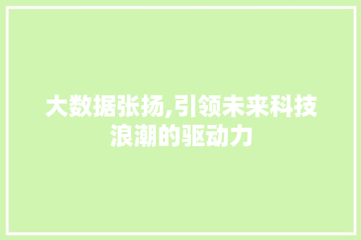 大数据张扬,引领未来科技浪潮的驱动力
