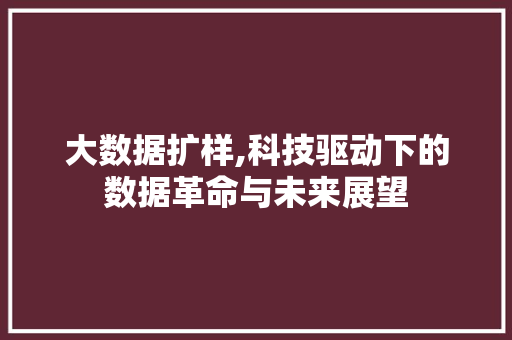 大数据扩样,科技驱动下的数据革命与未来展望