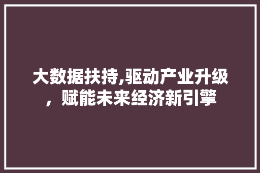 大数据扶持,驱动产业升级，赋能未来经济新引擎