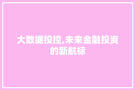 大数据投控,未来金融投资的新航标