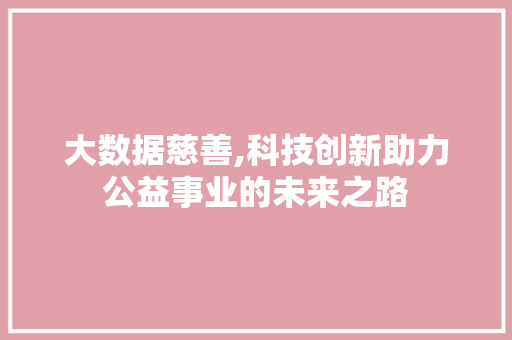 大数据慈善,科技创新助力公益事业的未来之路