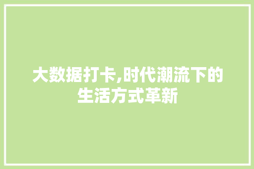 大数据打卡,时代潮流下的生活方式革新 必应SEO