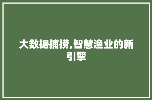 大数据捕捞,智慧渔业的新引擎 神马SEO