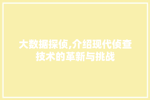 大数据探侦,介绍现代侦查技术的革新与挑战 必应SEO