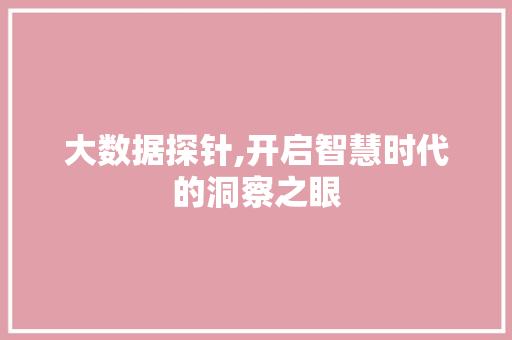 大数据探针,开启智慧时代的洞察之眼 搜狗SEO