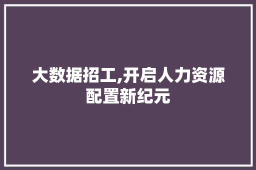 大数据招工,开启人力资源配置新纪元 网站建设公司