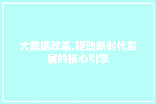 大数据改革,驱动新时代发展的核心引擎