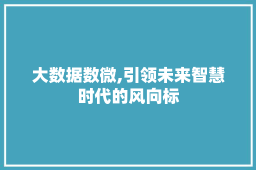 大数据数微,引领未来智慧时代的风向标