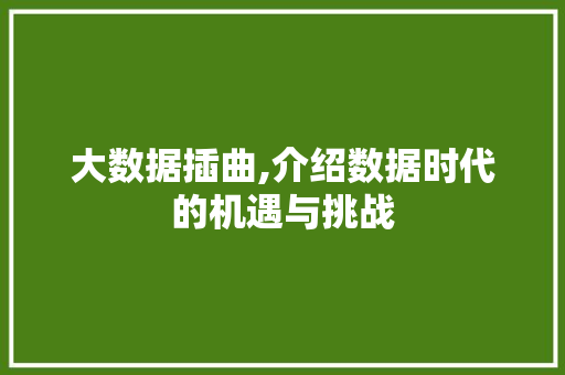 大数据插曲,介绍数据时代的机遇与挑战