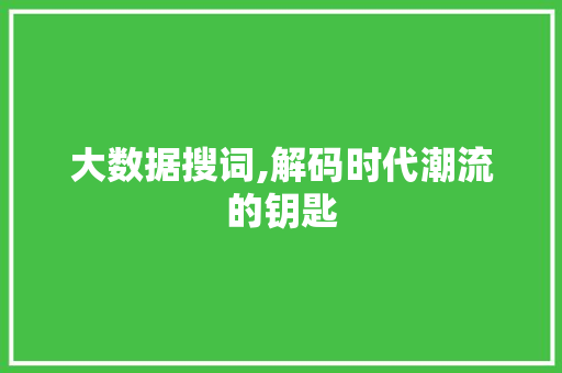 大数据搜词,解码时代潮流的钥匙 搜狗SEO