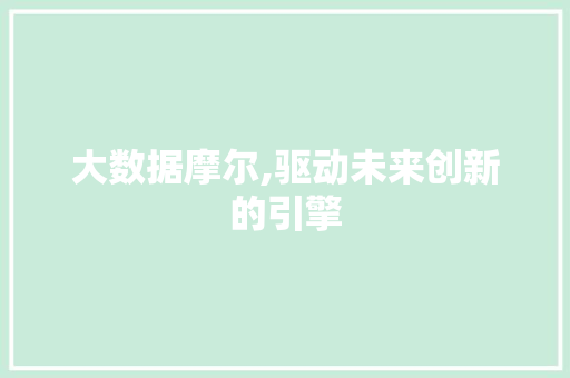 大数据摩尔,驱动未来创新的引擎 必应SEO