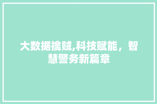 大数据擒贼,科技赋能，智慧警务新篇章 SEO关键词